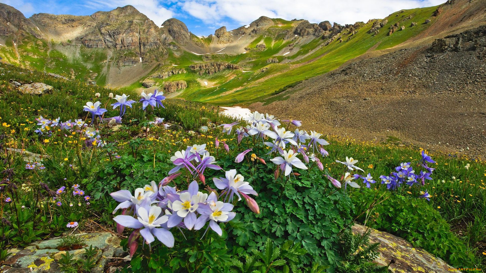 colorado, usa, , 